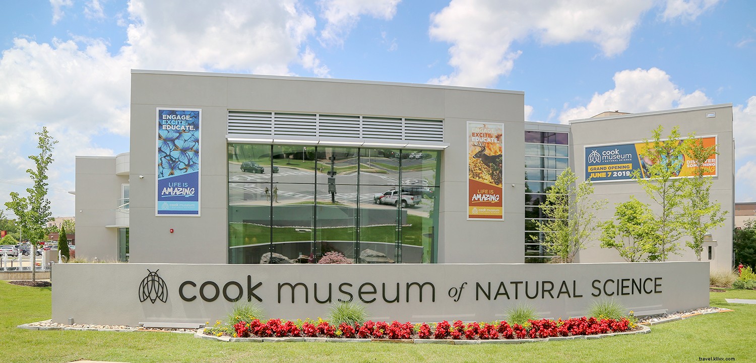 Alabama s Top Dishes: A Culinary Road Trip Guide from North to South